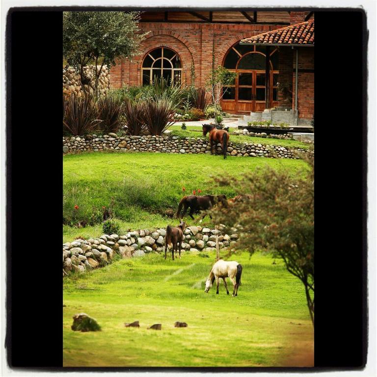 Hosteria Caballo Campana Cuenca Exteriör bild