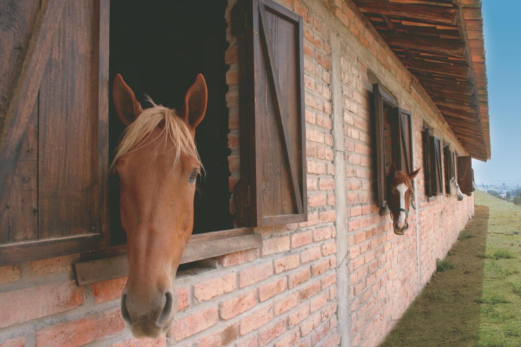 Hosteria Caballo Campana Cuenca Exteriör bild